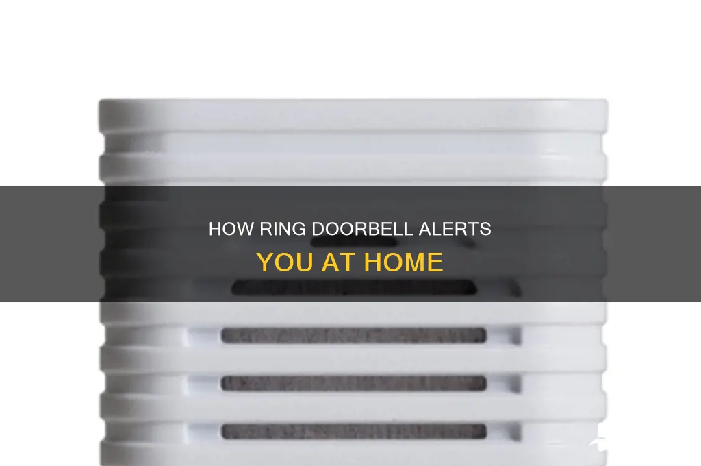 does ring doorbell sound in house