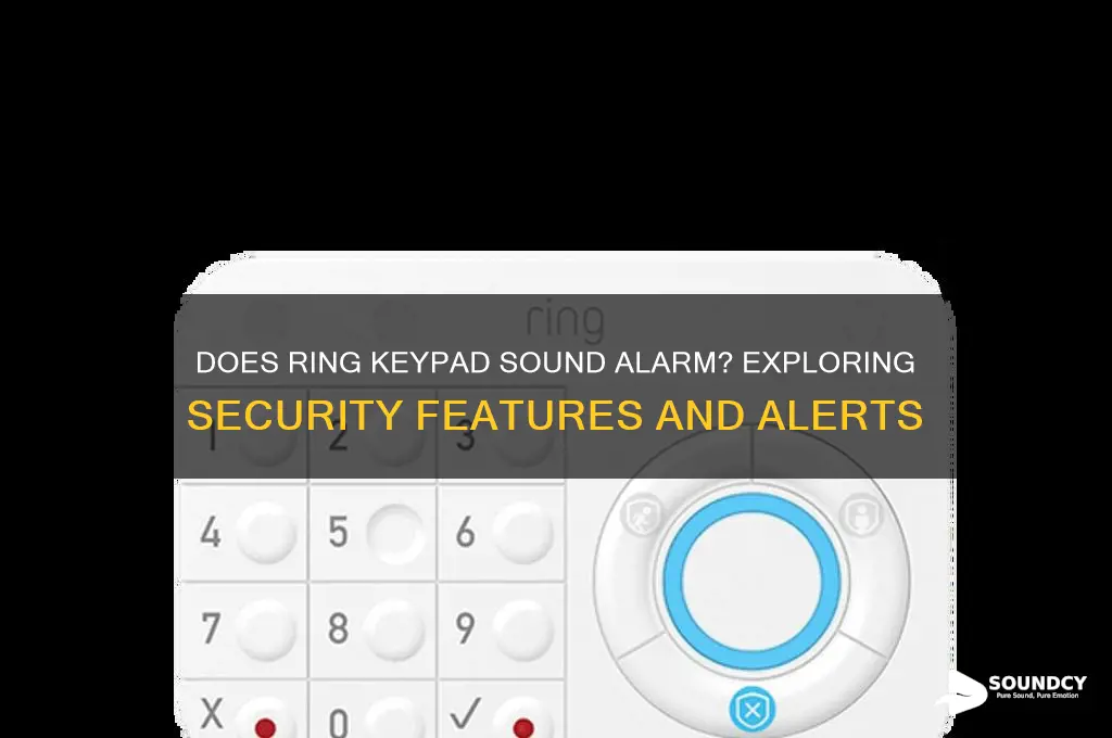 does ring keypad sound alarm