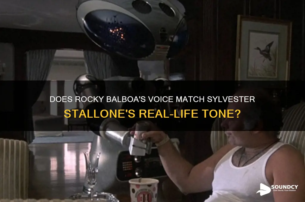 does rocky balboa sound like stallone in real life