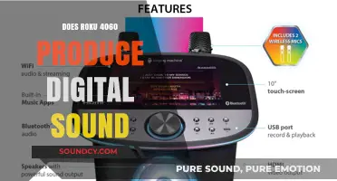 Enhanced Audio: Roku 4060's Digital Sound Output