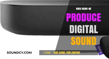 How to Get Digital Sound on Your Roku 4K