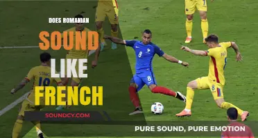 Romanian vs. French: Unraveling the Linguistic Similarities and Differences