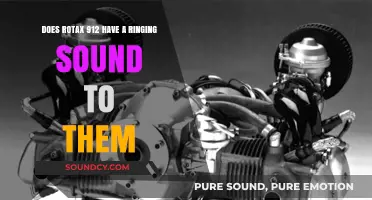 Rotax 912 Ringing Sound: Fact or Fiction? Exploring Engine Noise