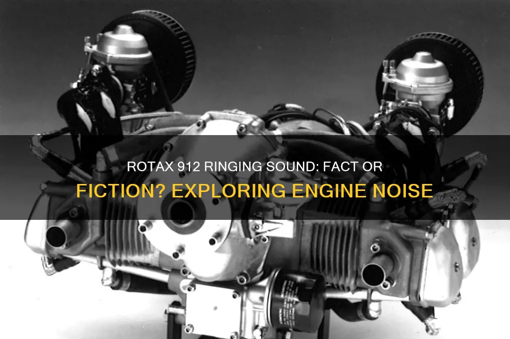 does rotax 912 have a ringing sound to them