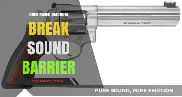 Super Sonic: Ruger Magnum Breaks Sound Barrier