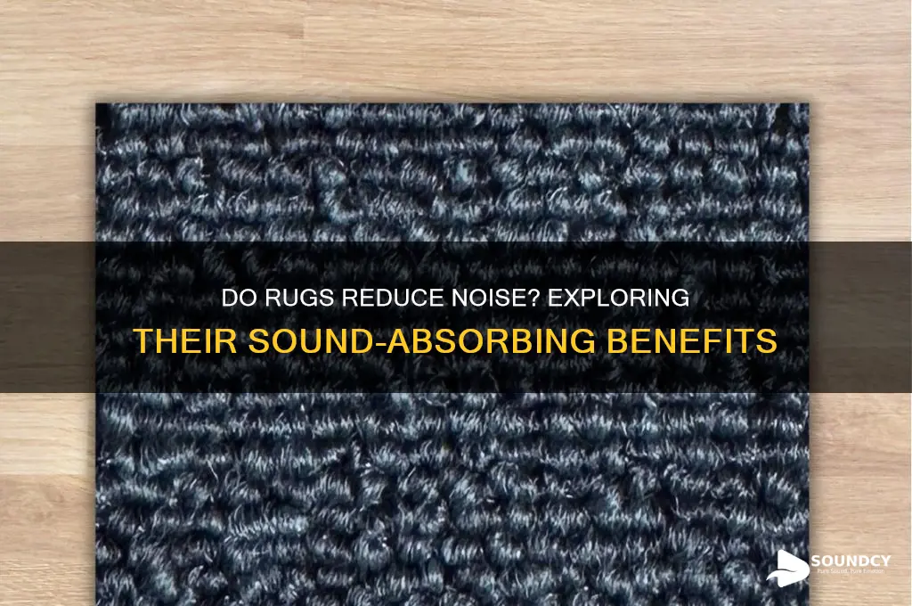 does rugs help with sound