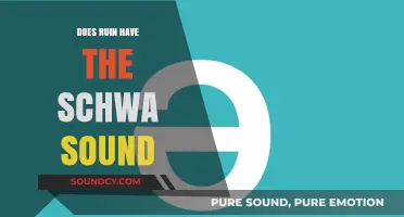 How to Pronounce "Ruin": The Schwa Mystery Solved