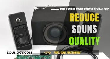 Does Running Sound Through a Speaker Amp Reduce Audio Quality?