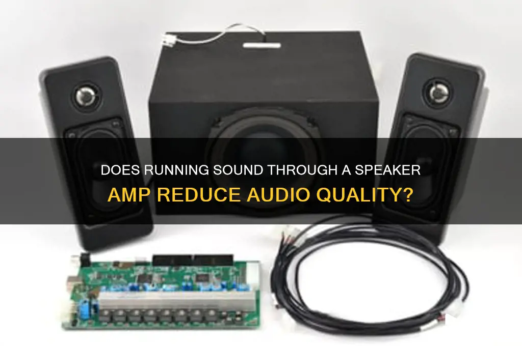 does running sound through speaker amp reduce souns quality