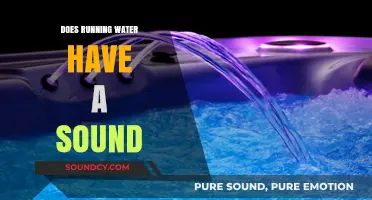 The Sound of Running Water: Myth or Reality?