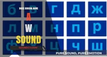 The Russian "W": A Unique Sound in the Language