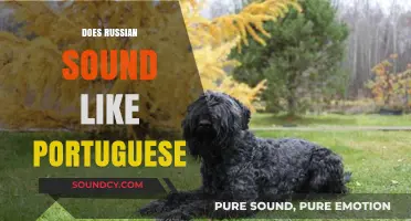 Does Russian Sound Like Portuguese? Unraveling the Linguistic Similarities and Differences