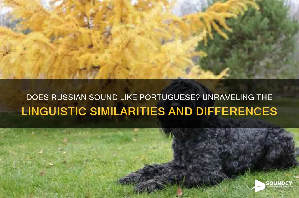 does russian sound like portuguese