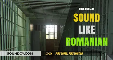 Russian vs. Romanian: Unraveling the Linguistic Similarities and Differences