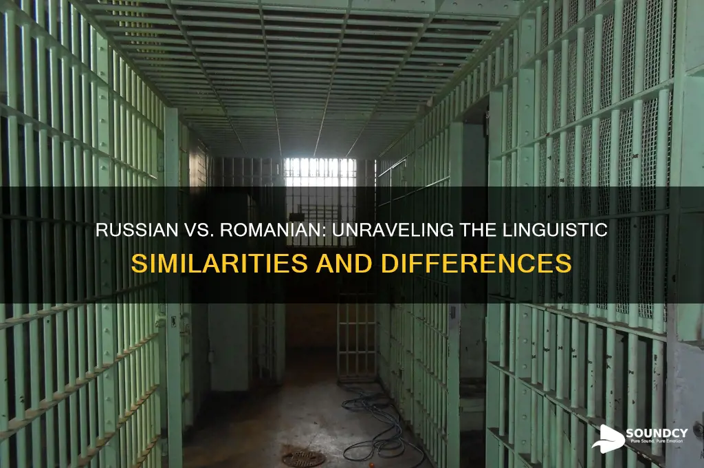 does russian sound like romanian