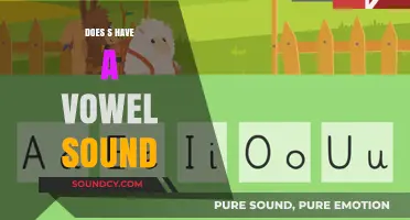 Mastering the English Vowel Sounds: The "S" Conundrum