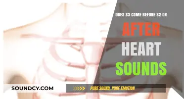 Understanding Heart Sounds: S3's Position Relative to S2 Explained