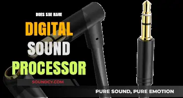 Samsung S5E: Digital Sound Processor Included?