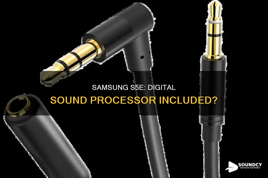 does s5e have digital sound processor