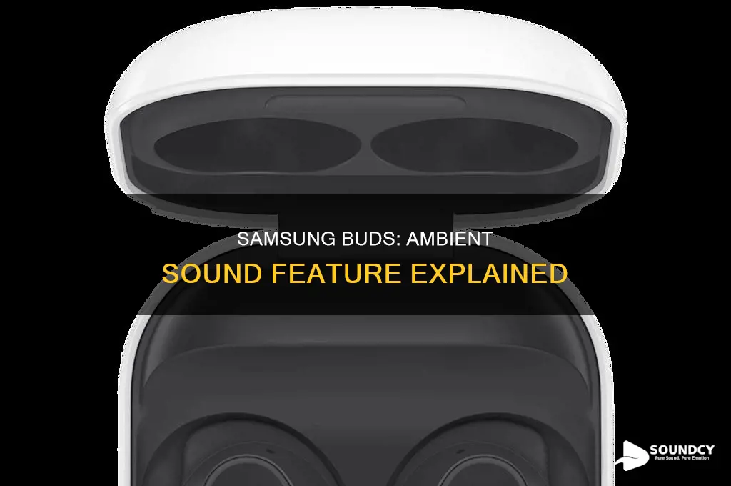 does samsung buds have ambient sound