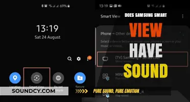 Smart View Audio: Samsung's Sound Solution