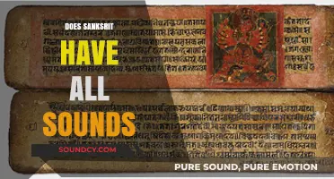 Exploring Sanskrit's Phonetic Completeness: Does It Encompass All Sounds?