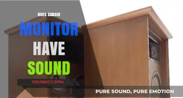 Does Sansui Monitor Have Sound? Exploring Audio Features and Capabilities