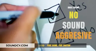 Does Saying No Sound Aggressive? Navigating Boundaries with Confidence