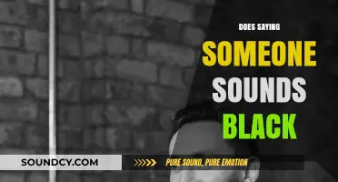 Does Saying Someone Sounds Black Perpetuate Harmful Stereotypes?