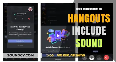 Hangouts Screen Share: Does It Include Audio?
