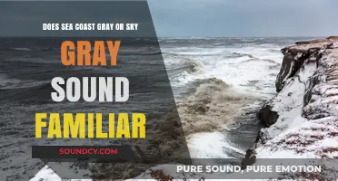 Sea Coast Gray vs. Sky Gray: Unraveling the Familiar Color Debate