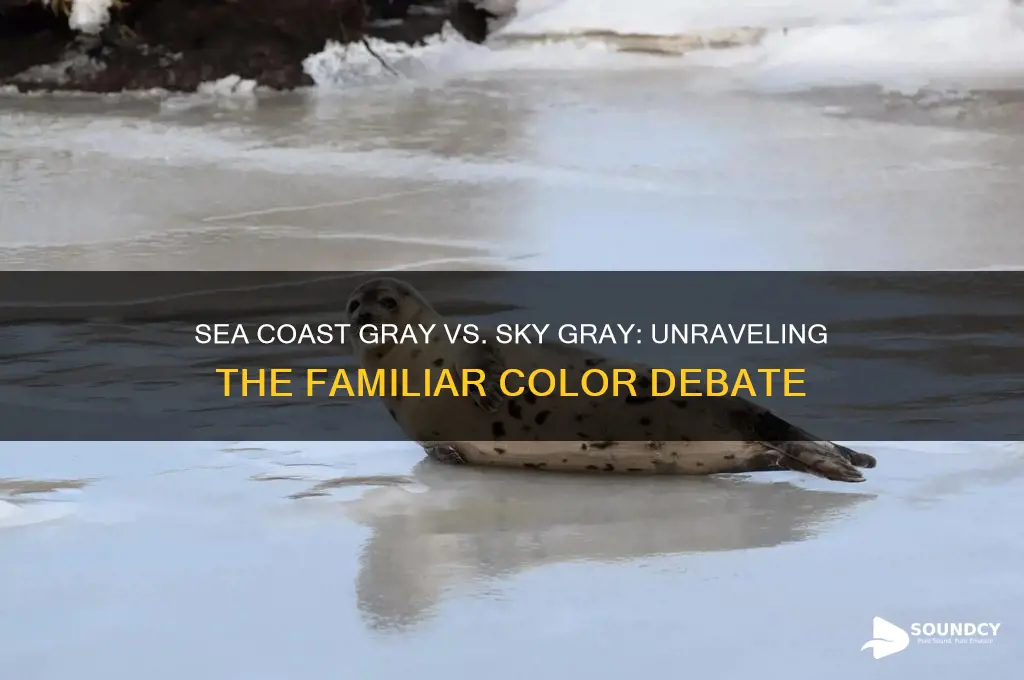does sea coast gray or sky gray sound familiar
