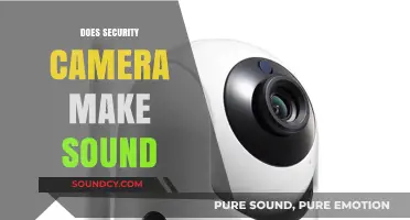 Do Security Cameras Emit Sound? Exploring Audio Features and Privacy Concerns
