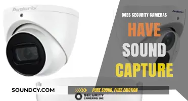 Security Cameras: Can They Hear You?