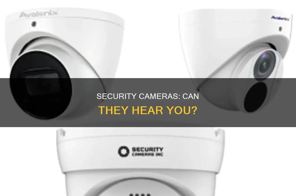does security cameras have sound capture