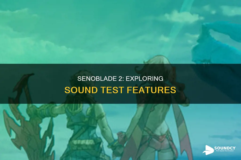 does senoblade 2 have sound test