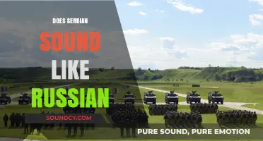 Does Serbian Sound Like Russian? Exploring Slavic Language Similarities and Differences