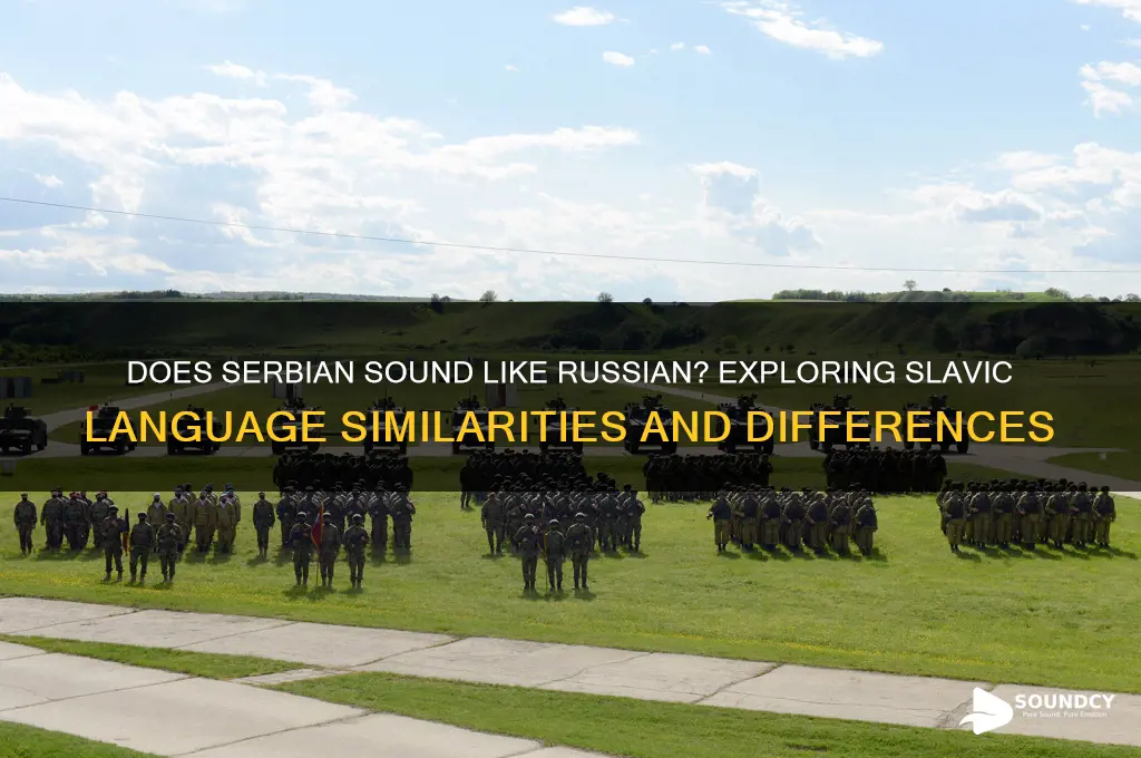 does serbian sound like russian