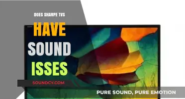Sharpe TV Audio Problems: What's the Deal?