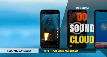 Does Shazam Identify SoundCloud Tracks? Exploring Music Recognition Limits