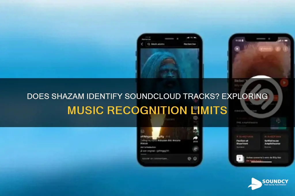 does shazm do sound cloud