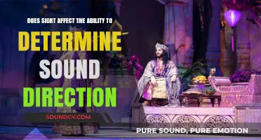 How Sight Influences Our Perception of Sound Direction