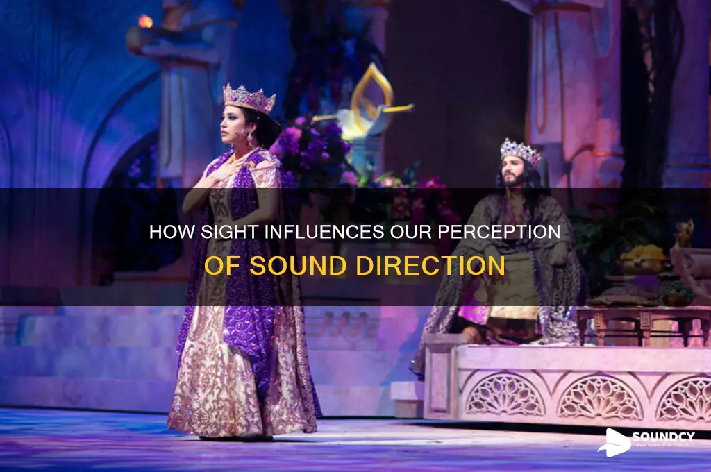 does sight affect the ability to determine sound direction