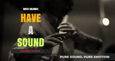 Does Silence Have a Sound? Exploring the Quiet Beyond Hearing