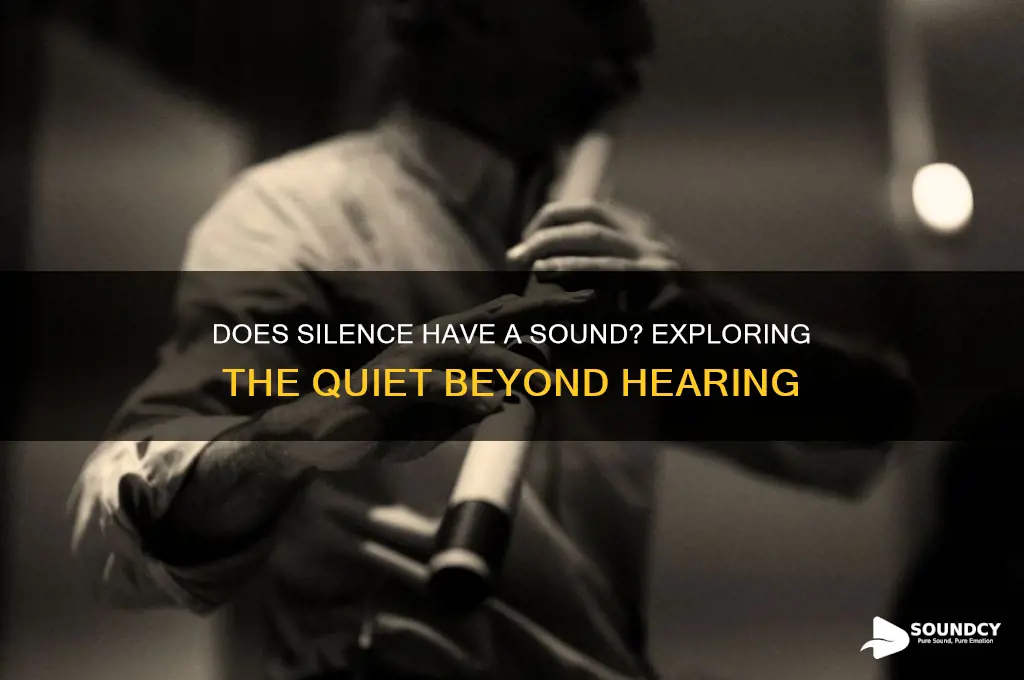 does silence have a sound