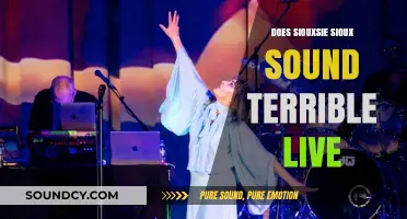 Siouxsie Sioux's Live Performances: A Mixed Bag?