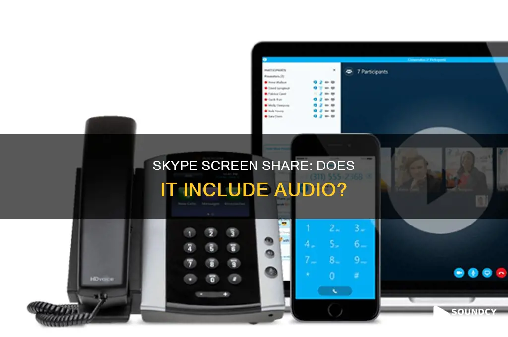 does skype screen share have sound