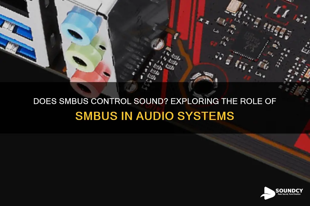 does sm bus control sound