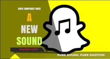 Snapchat's New Sound: What's the Latest Update?