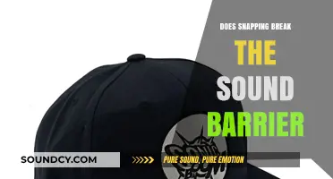 Snapping and Sonic Booms: Breaking the Sound Barrier?